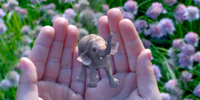 magic-leap-