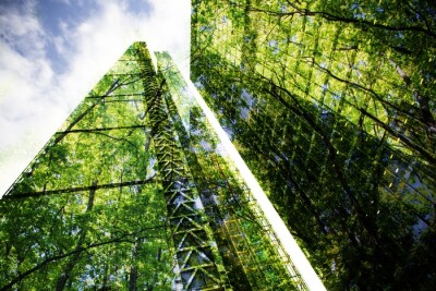 green city - double exposure of lush green forest and modern skyscrapers windows